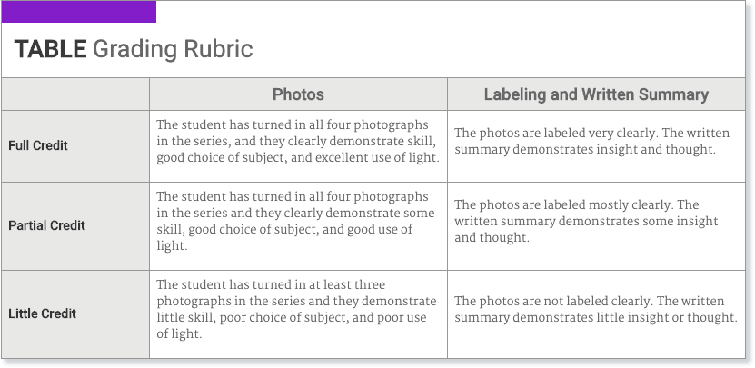 eDynamic Learning Activity Rubric -Photo Project