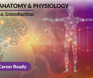 Anatomy and Physiology 1a: Introduction