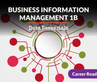 Business Information Management 1b: Data Essentials