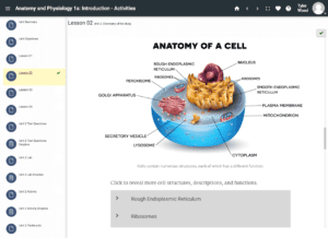 Cell Diagram