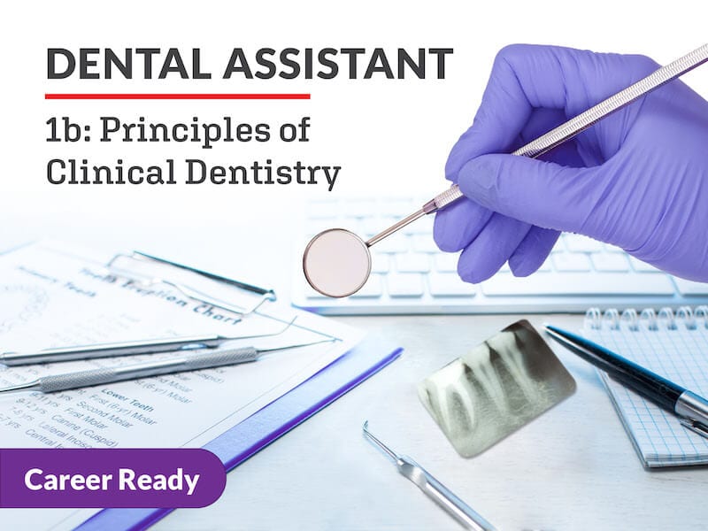 EDL254 Dental Assistant 1b