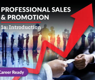 Professional Sales and Promotion 1a: Introduction