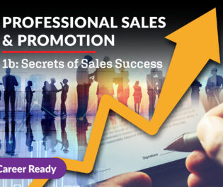 Professional Sales and Promotion 1b: Secrets of Sales Success